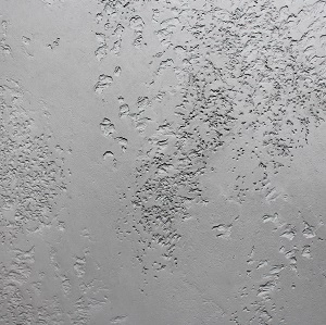 микробетон